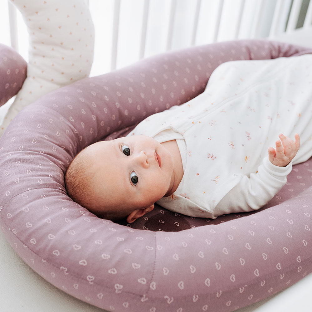 neugieriges Baby im Home Nest