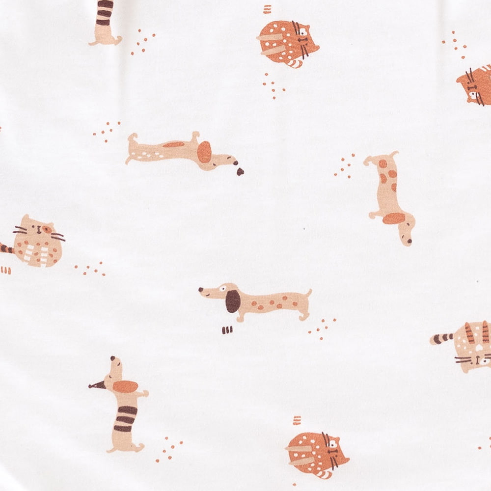 cats&dogs  Design