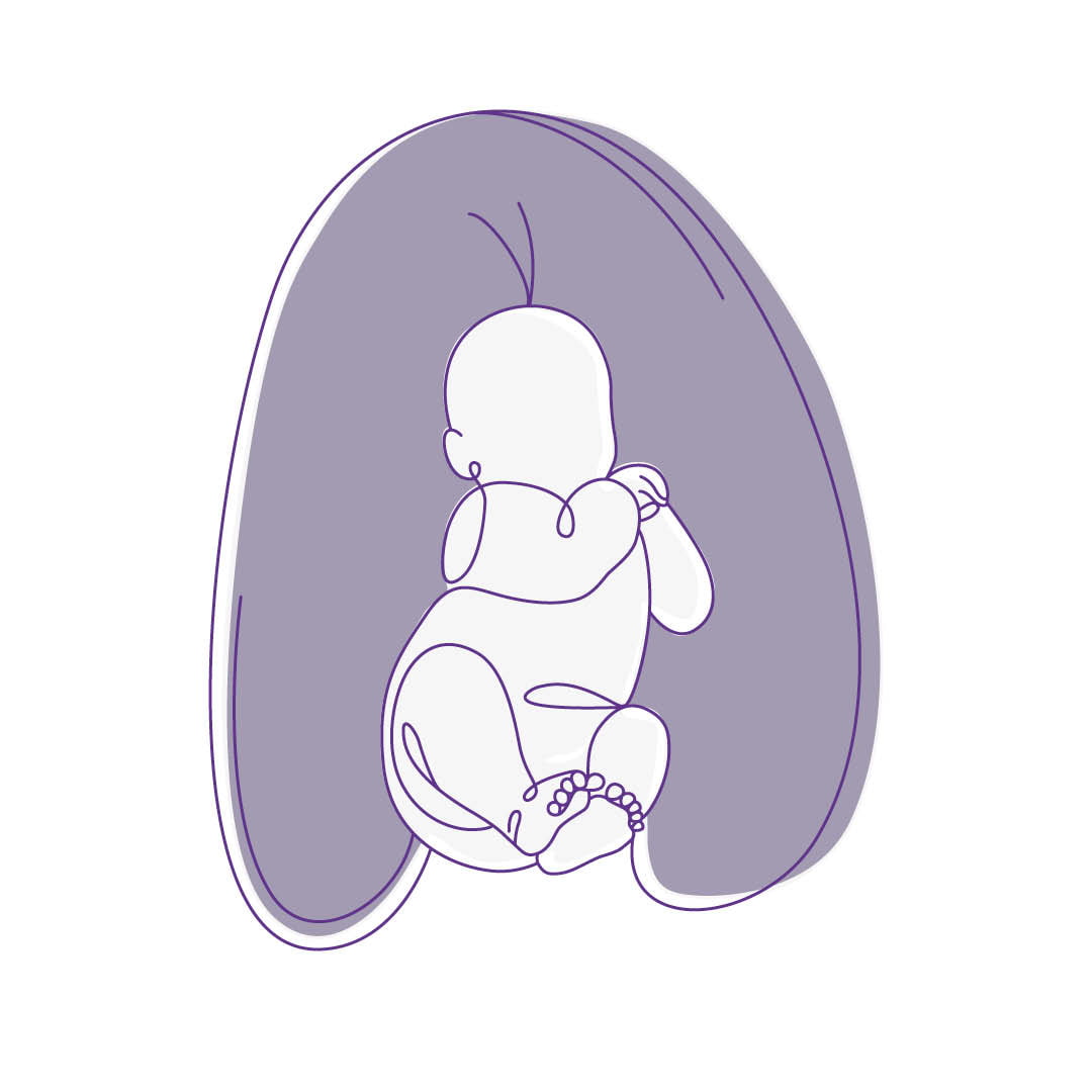 Stillkissen als Babynest traeumeland-baby-in-stillkissen-nest